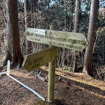 三つ目の大丸に到着