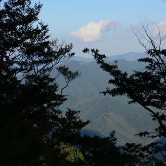 木々の間からは赤谷山の立岩が見えた