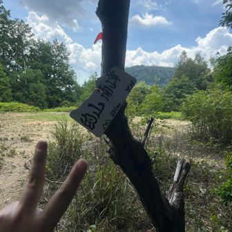 的山南峰。
