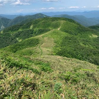 気持ちいい山だ