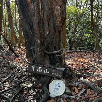殺風景な山頂が少しでも安らぐように置いておきます