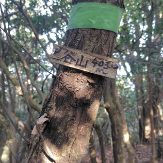 谷山、４０４ｍポイント