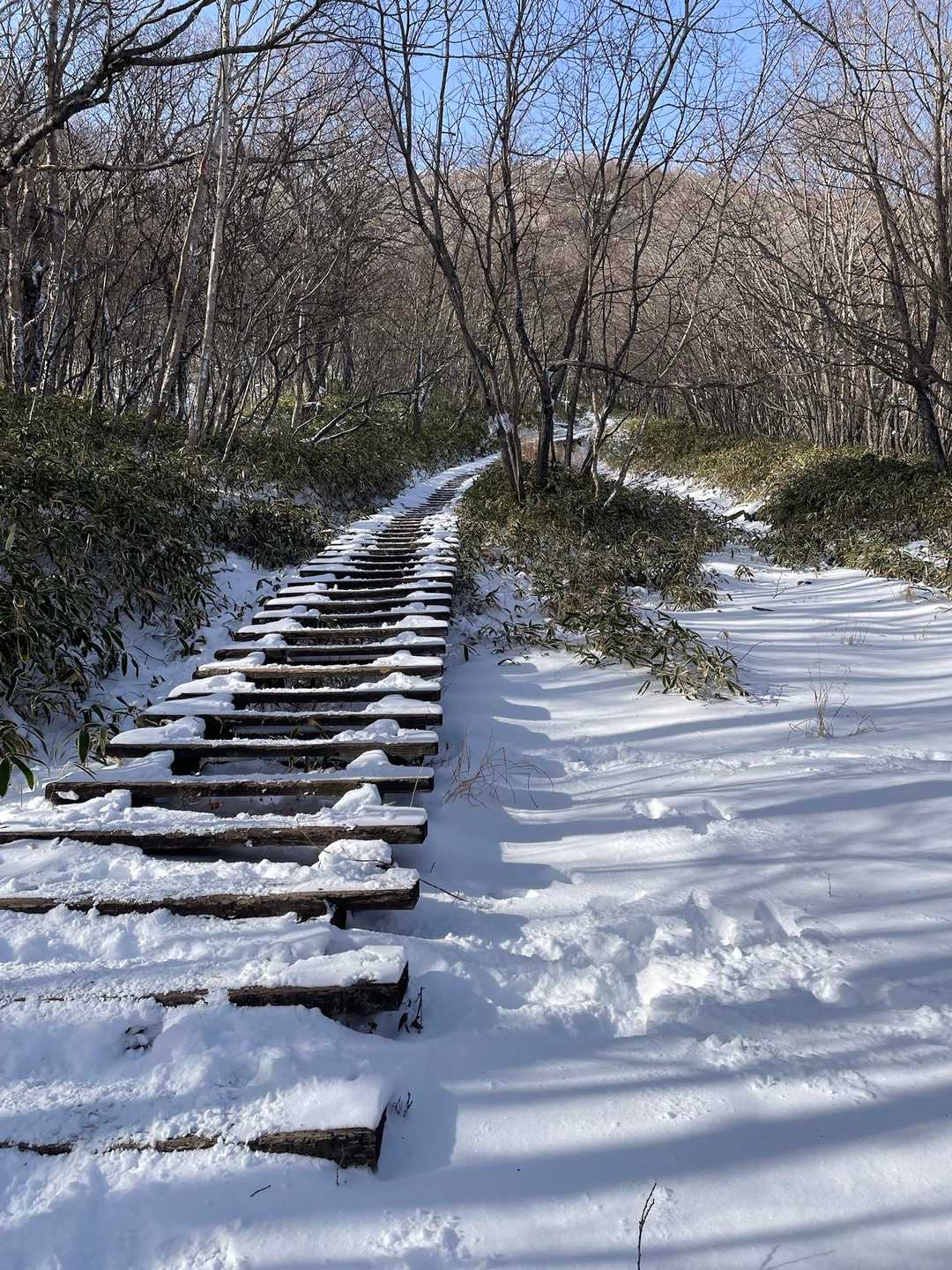 小沼側の登山口まで戻りました。
大洞駐車場まで歩きます。