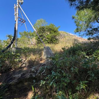 山頂が見えてきた。