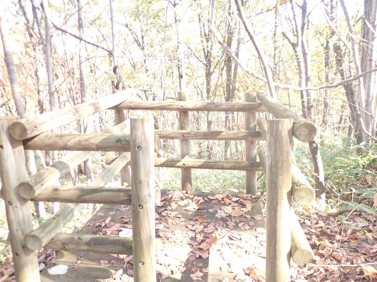 不思議な台もあるし❗️