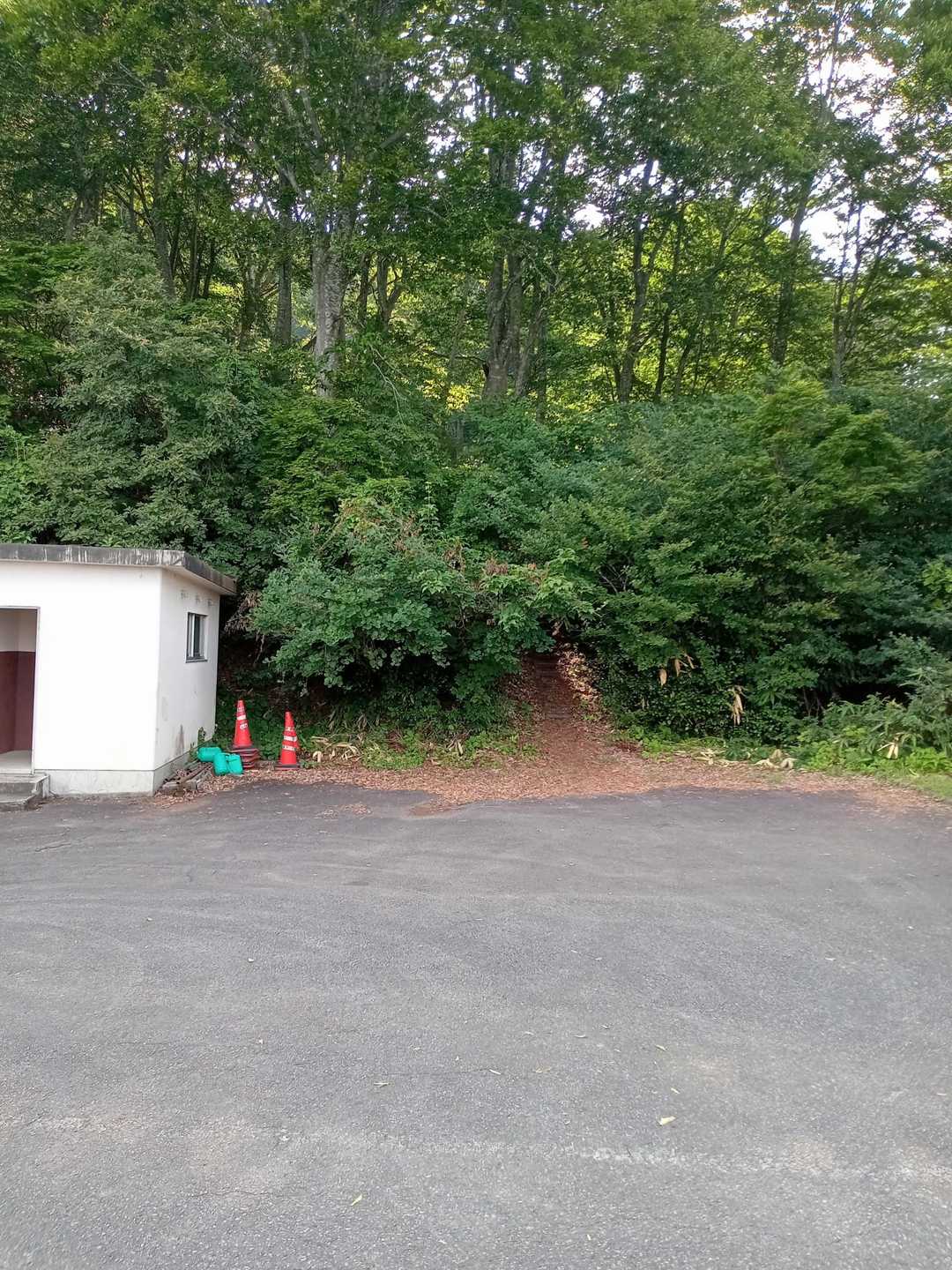 登山口はトイレの横🐽
