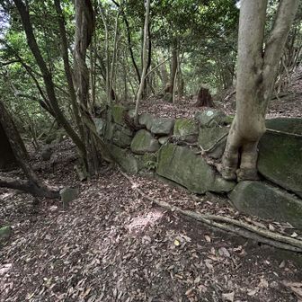 石垣が残ってます