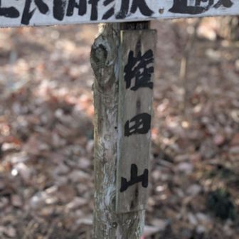 小ピーク権田山
山頂というより丘だった件