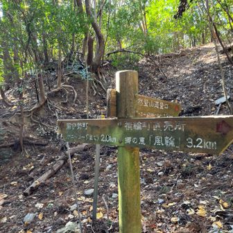 西へ縦走路を進むと鍛冶屋トンネルの上を通り牛草山方面へ