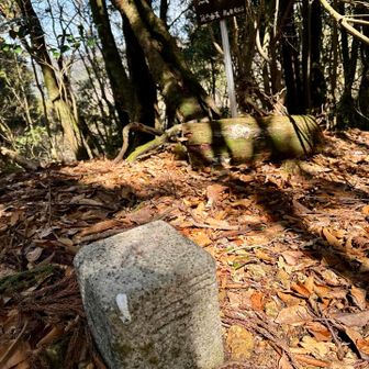熊渡山山頂
　木に覆われ