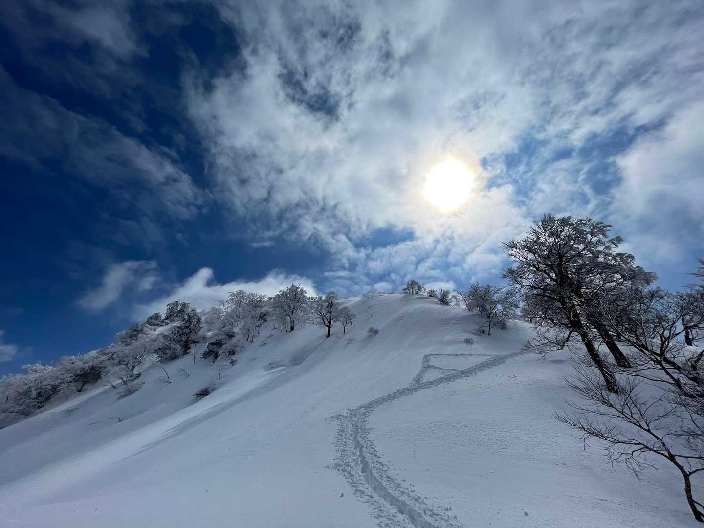 最高😀