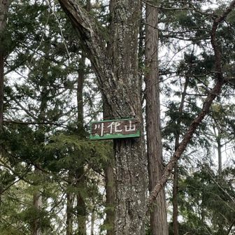 やっと着いた川化山⛰️