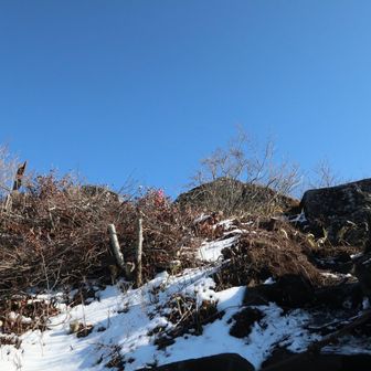 10月に来た時から山頂西側が大きく伐採されたため、眺めは良くなったが風除けができなくなった　それと樹林から開けた山頂に飛び出る感じが好きだったので残念😢