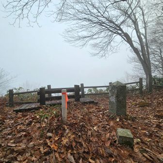 鎌倉山、登頂セリ！