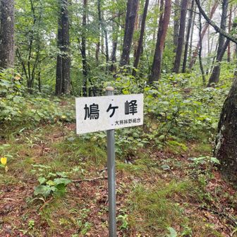 47回目でここ初めて！
ピークあるの知らなかった
11時に🅿️到着して車なしでした
雨だもんね
