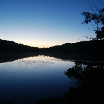 だっしゅ はしもと