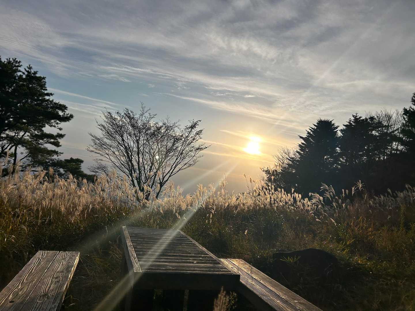 筑波山神社-筑波山-つつじヶ丘 縦走コースの写真