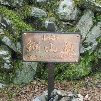 銅山越の銅板　よく見るとアカモノ、ツガザクラが彫金されているのですよ