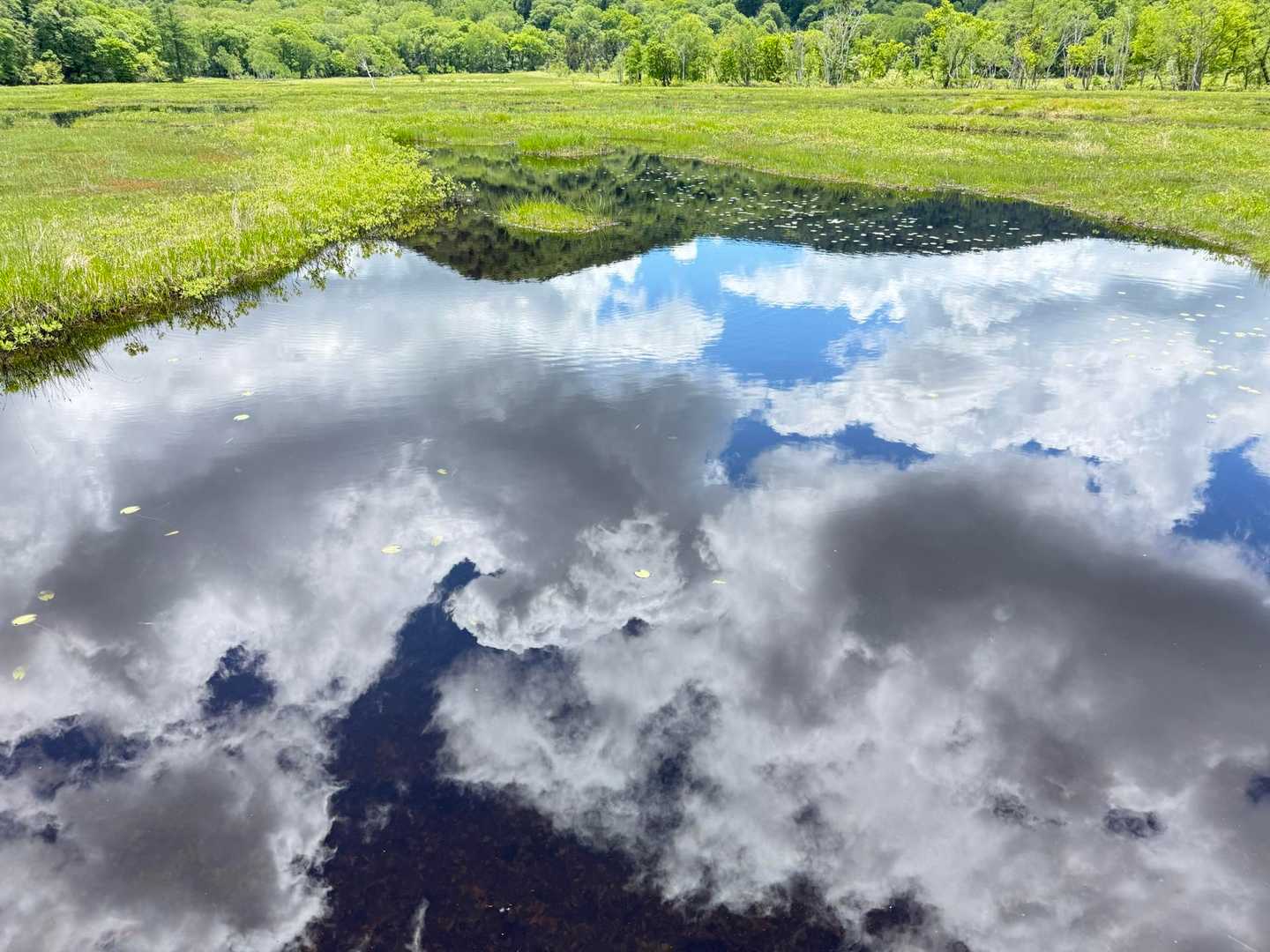 鳩待峠バス停発着｜尾瀬ヶ原周回コースの写真