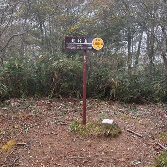 展望台の奥に山頂看板あり。