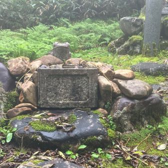 無事にかえる🐸