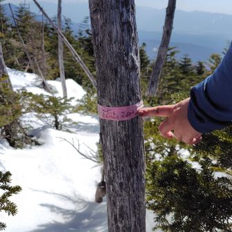 急登、急登でヘトヘト😅
これが山頂標識🤔