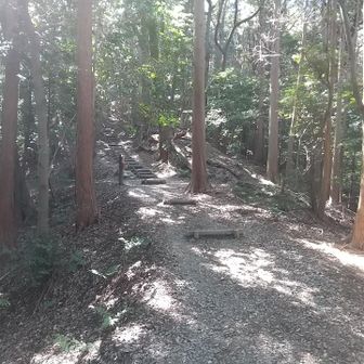この山は直射日光を遮ってくれるけど、暗くなりすぎないという適度な木の密度が好き。
今日みたいに気温がガンガン上がる日はこうした山で運用するに限る。