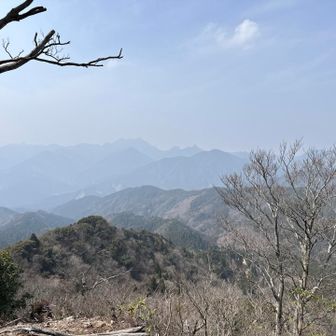 霞んでるのが春らしい☘️