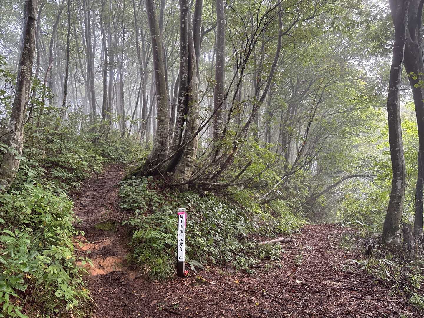 花立コース登山口-鋸山 往復コースの写真
