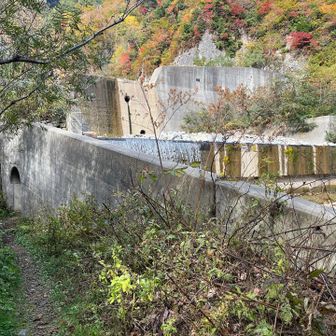 見えました！登山道の始点、水路裏のトンネルです！