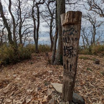 怒塚山山頂。
なるほど、「怒」の字が怒ってるように見える。