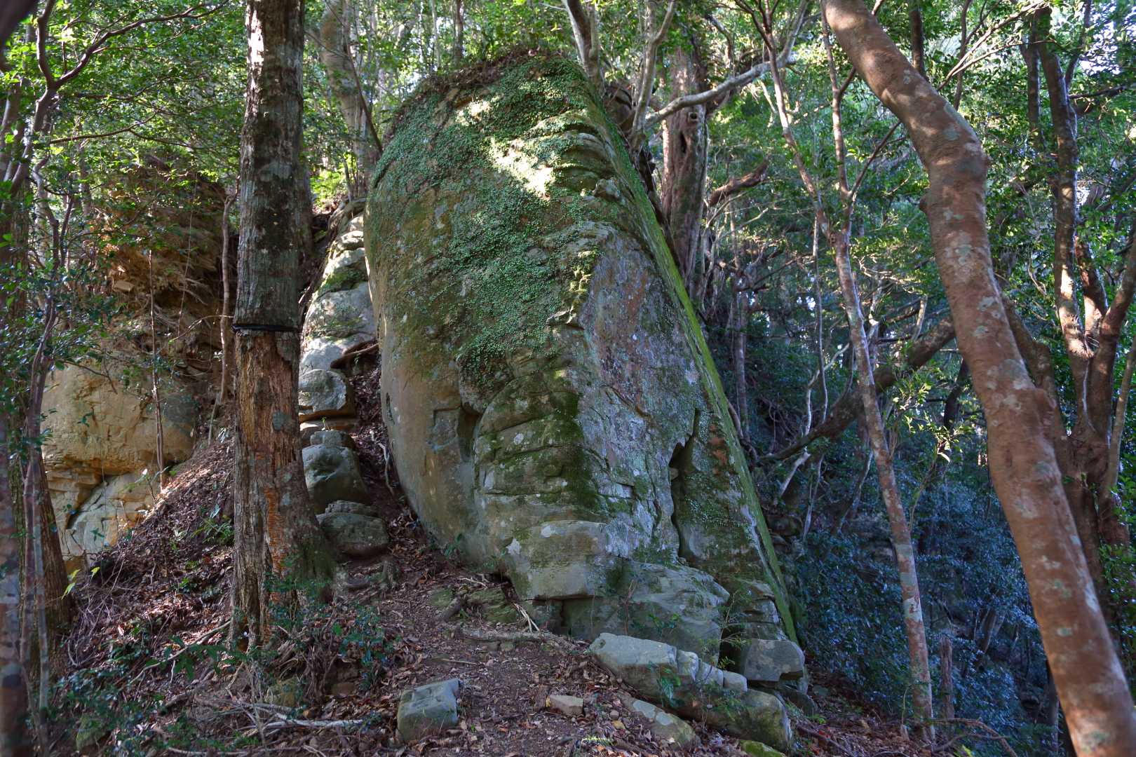 でっかい岩