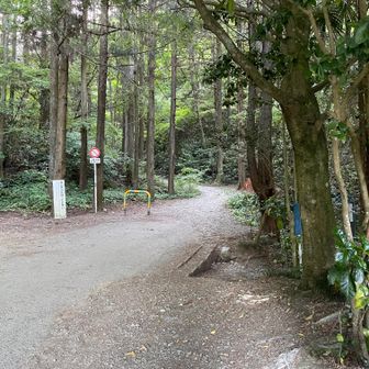 この手前に駐車場あり。午後からは空きが出ることが多い