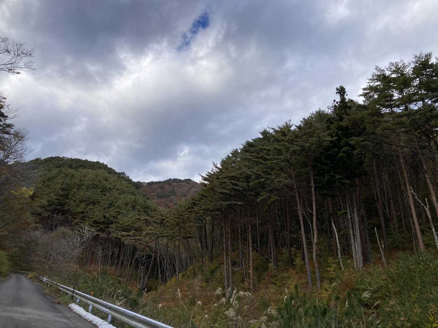 振り返ると霞露ヶ岳⛰