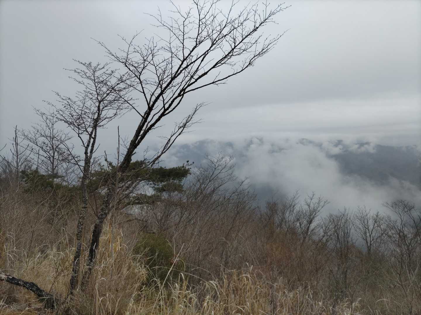 菜畑山 往復コースの写真