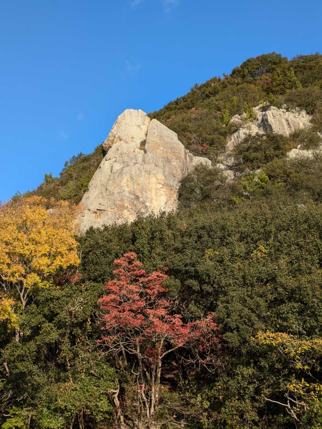 すごい…岩場があるよ😳