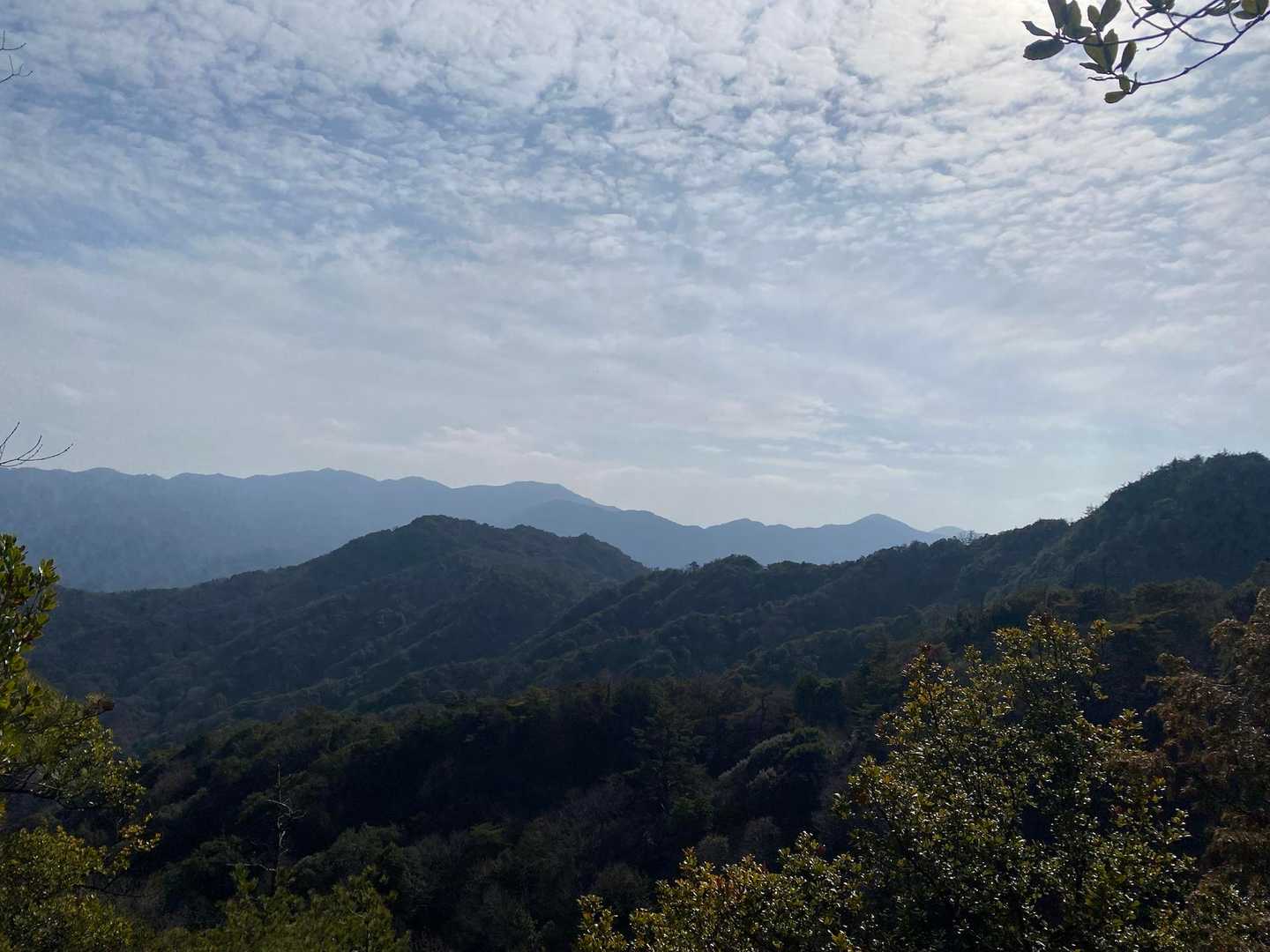 目の前は星越山、
縦走コースならあの稜線を歩いています