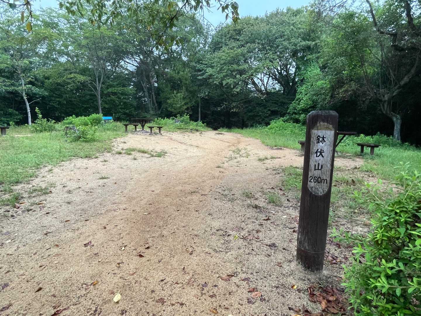 横が山頂だった