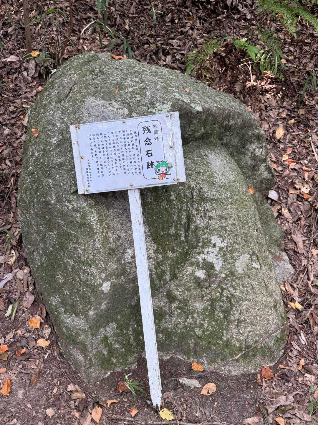 残念石。おもしろいですね