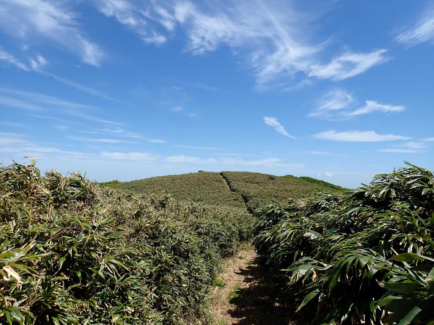 もうすぐ山頂です。