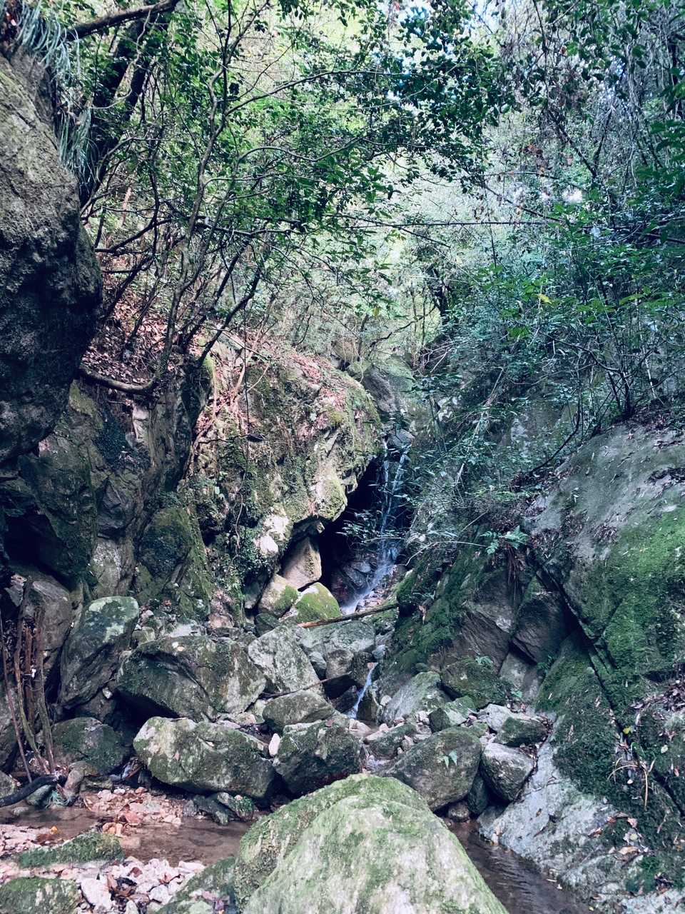 沢沿いを登っていきます