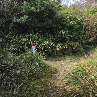 玄岳山頂・氷ヶ池分岐まで戻って来ました。
左に曲がれば、来た道です。