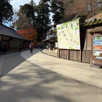 薬王院に差し掛かる。