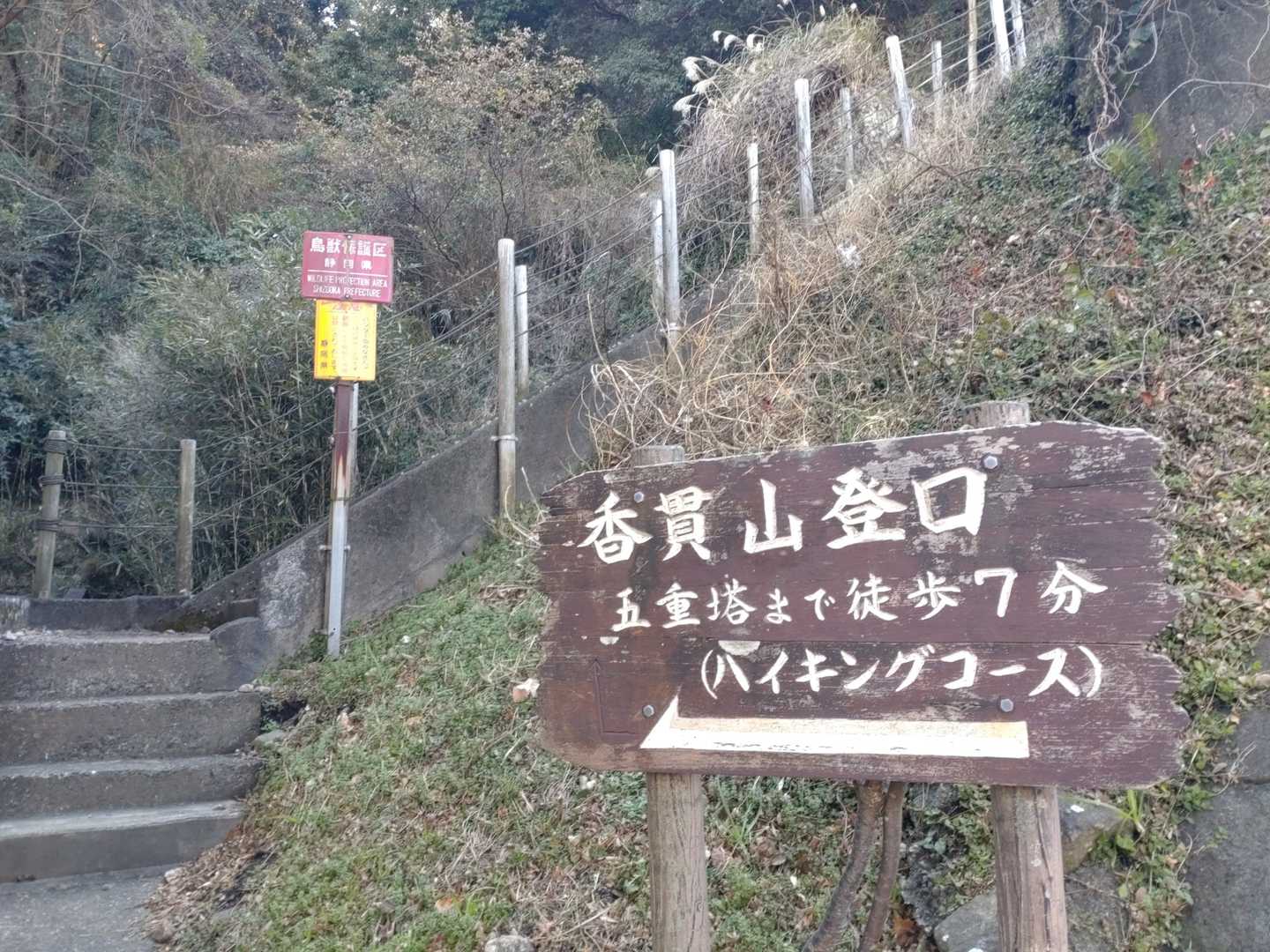ここ降りてきて終了。
さぁ飯だ！飯！飯持ってこい！
えっ？富士山？後半戦の頃には富士山早退しちゃたみたいです。雲で愛鷹山までしか見えませんでした。