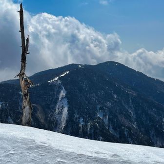 大長山方面
帰途の登り返し。のんびり歩いたので、今回は全く不安なし。