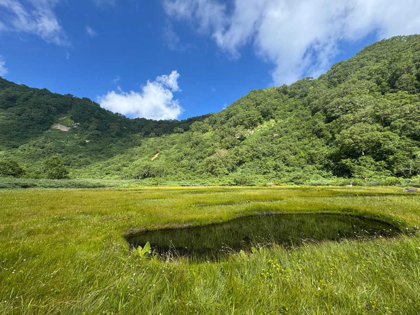 思わぬ絶景！