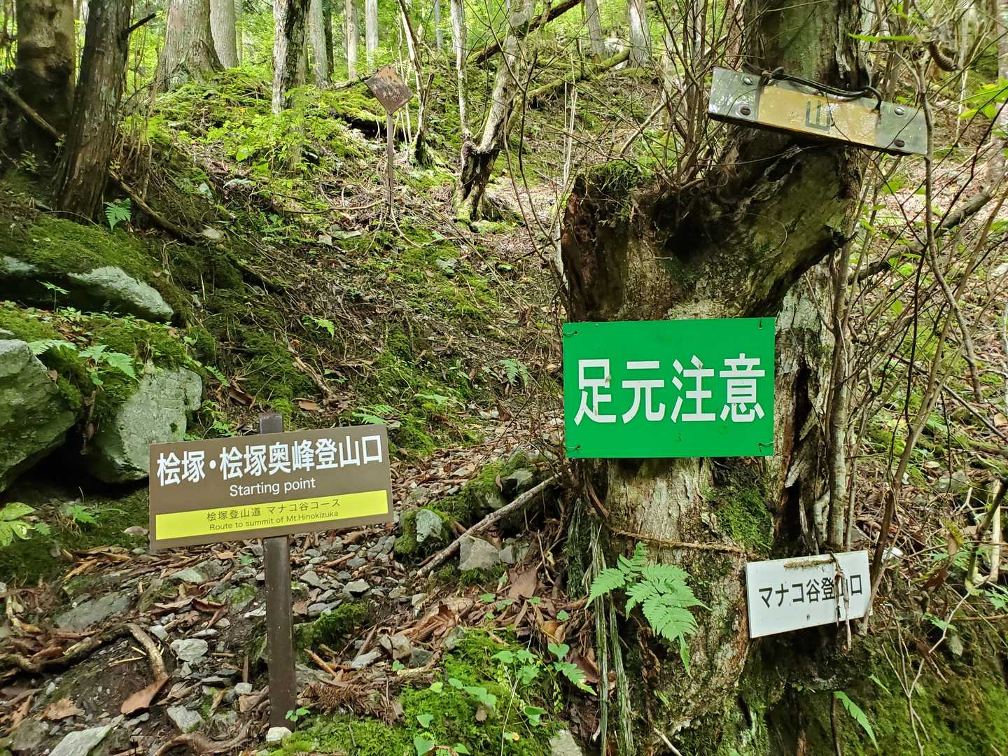 マナコ谷より登山開始🙋