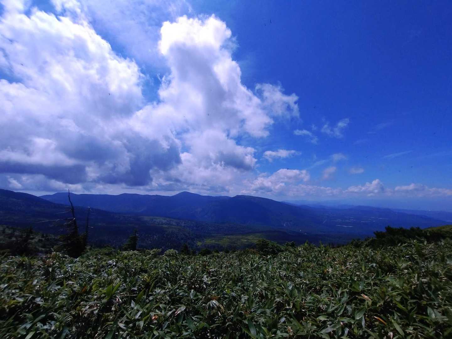 素敵な景色を堪能しました😌