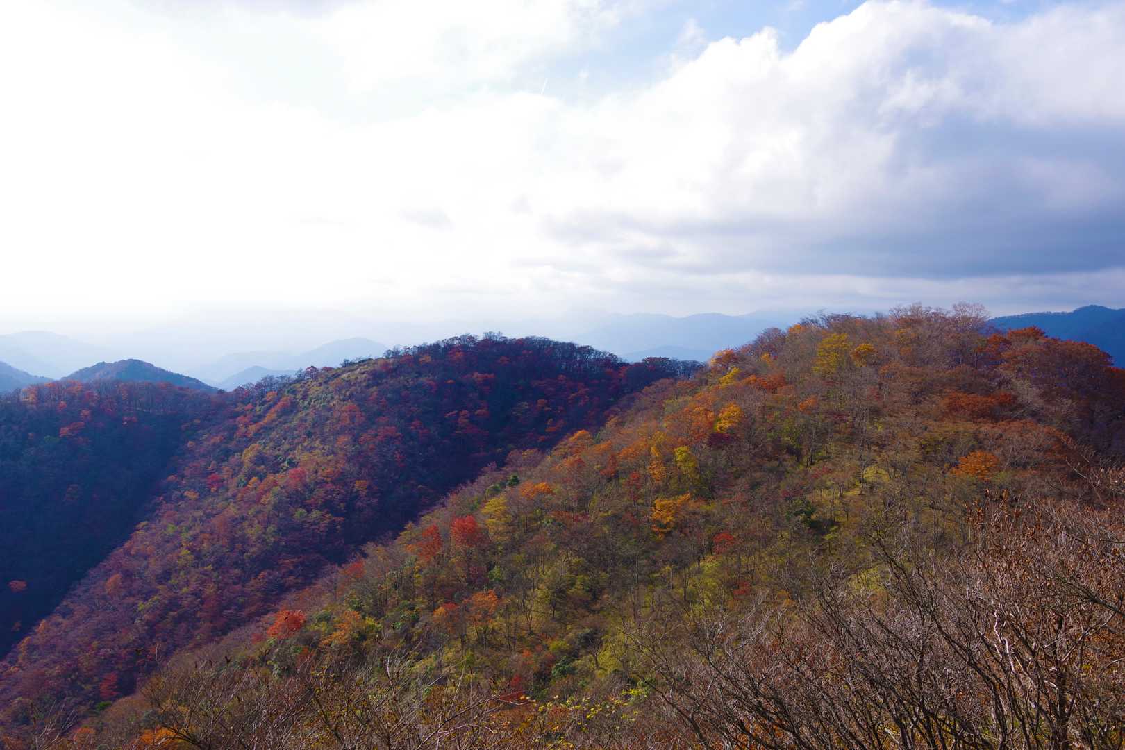 大倉バス停-堀山-塔ノ岳-日高-竜ヶ馬場-丹沢山-小丸-鍋 周回コースの写真