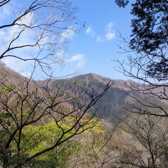 やべっ、山ナシ山頂を通り越してた…。なので山頂標識の写真は無し😅